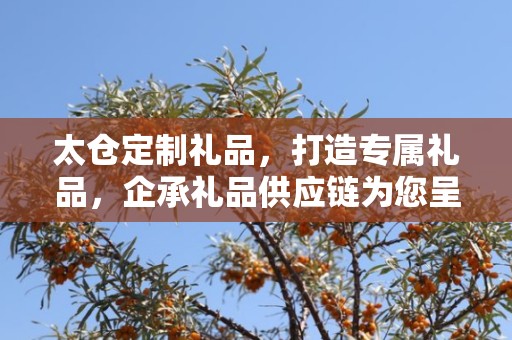 太仓定制礼品，打造专属礼品，企承礼品供应链为您呈现独特魅力