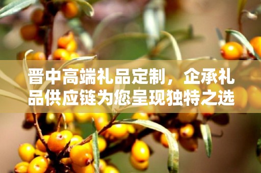 晋中高端礼品定制，企承礼品供应链为您呈现独特之选