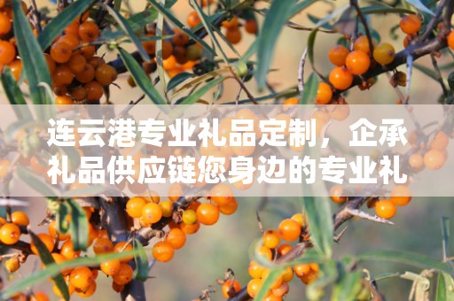 连云港专业礼品定制，企承礼品供应链您身边的专业礼品定制公司