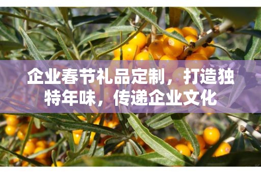 企业春节礼品定制，打造独特年味，传递企业文化